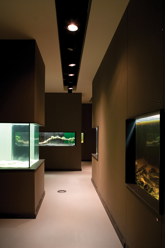 ĪˮݣMora River Aquarium18ͼƬ