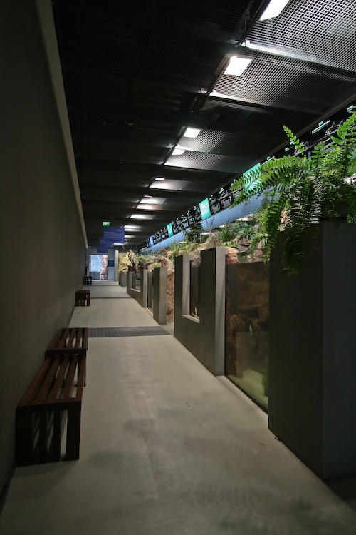 ĪˮݣMora River Aquarium20ͼƬ