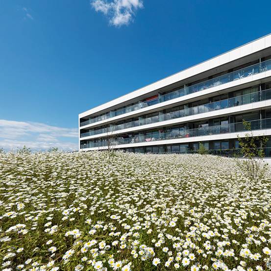 /ZZDPʦ/Block 3 / ZZDP Architecten4ͼƬ