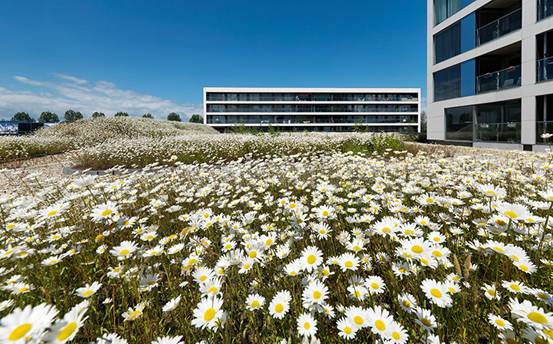 /ZZDPʦ/Block 3 / ZZDP Architecten7ͼƬ