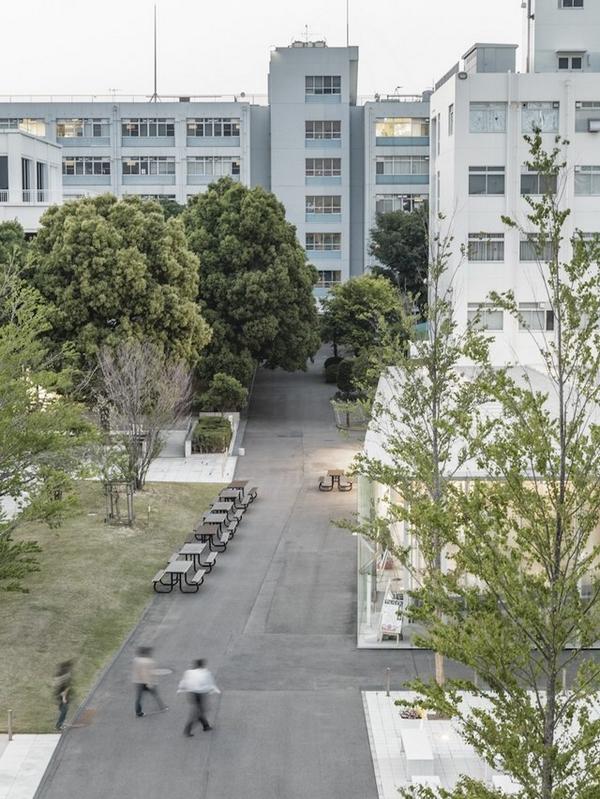 大学 神奈川 工科