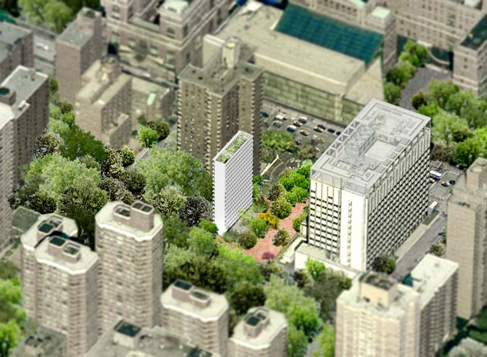 tiNY / SO-IL Architects1ͼƬ