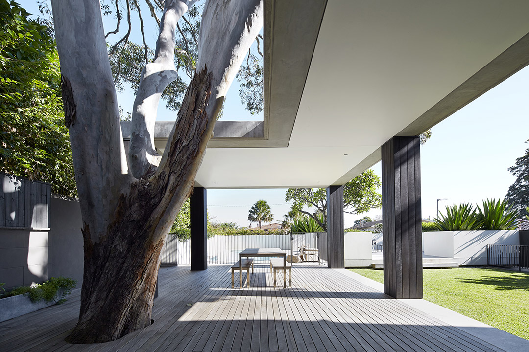 Hopetoun Avenue, Valcluse / B.E Architecture1ͼƬ