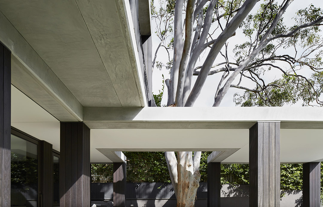 Hopetoun Avenue, Valcluse / B.E Architecture5ͼƬ