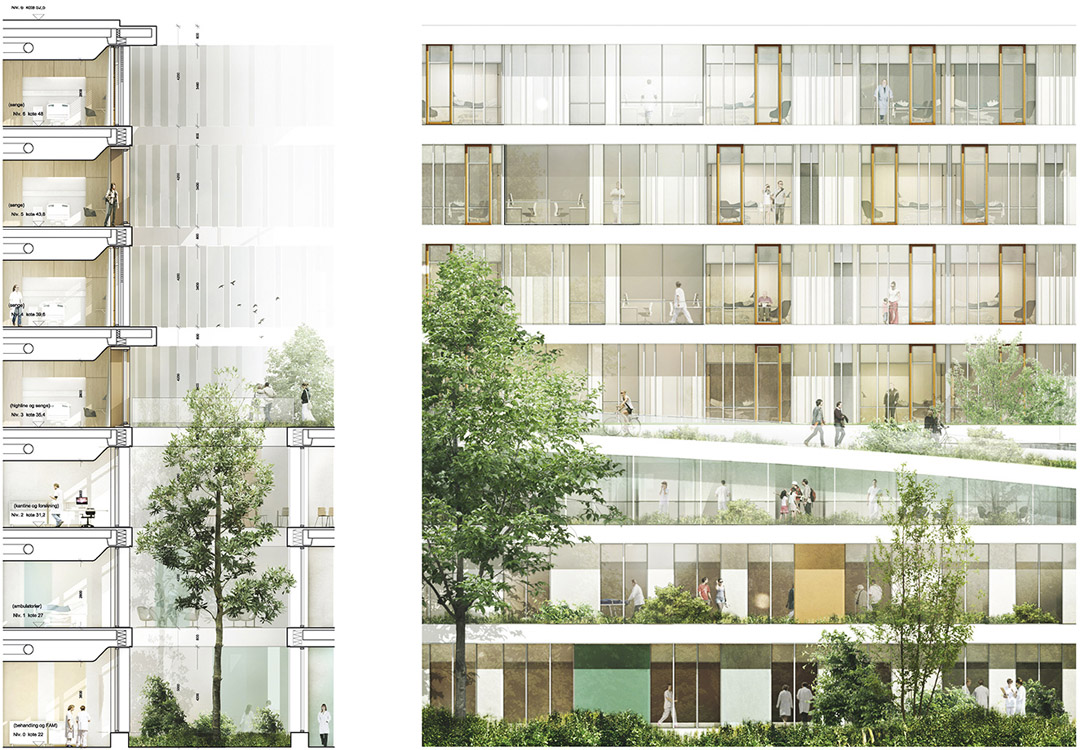 New North Zealand Hospital / C.F. Møller28ͼƬ