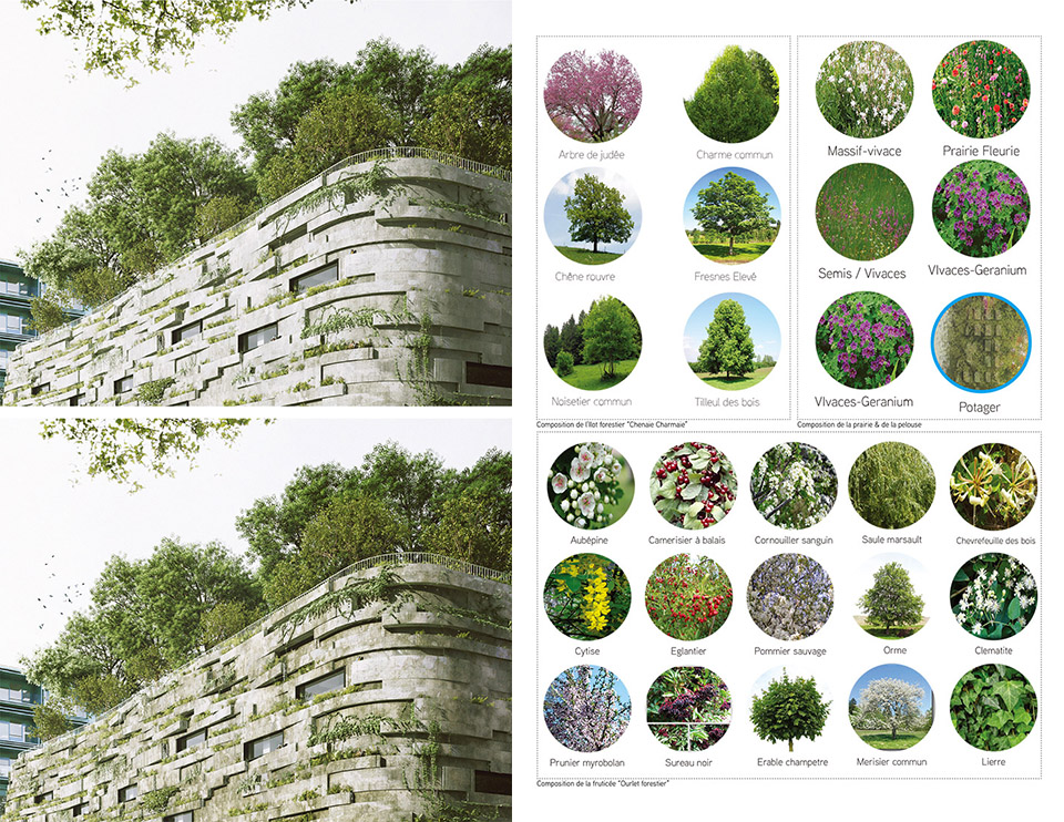 Primary School For Sciences And Biodiversity / Chartier Dalix12ͼƬ