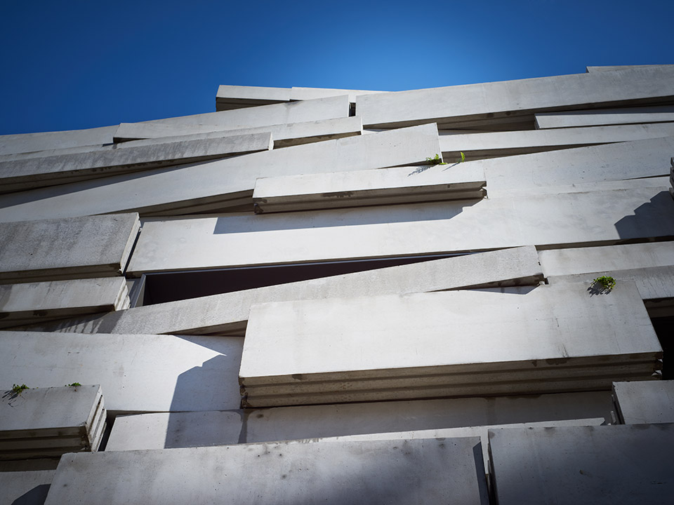 Primary School For Sciences And Biodiversity / Chartier Dalix10ͼƬ