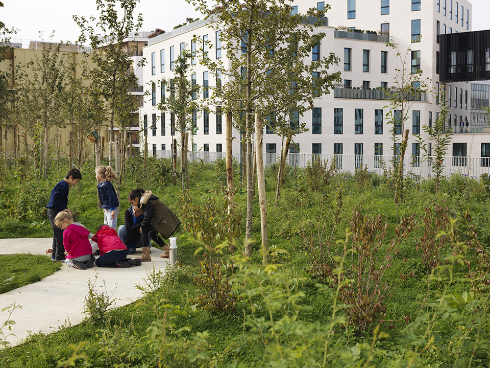 Primary School For Sciences And Biodiversity / Chartier Dalix13ͼƬ