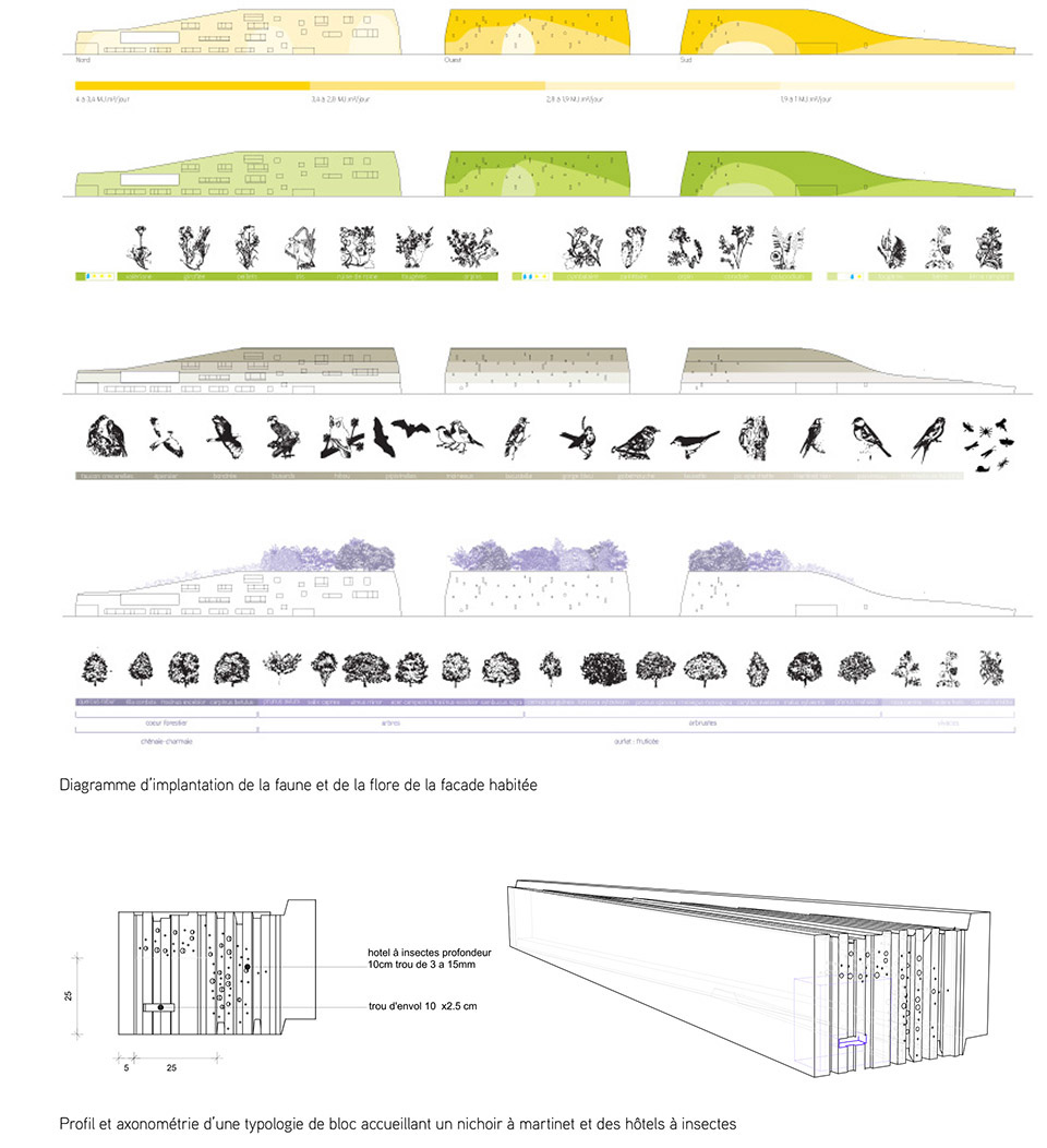 Primary School For Sciences And Biodiversity / Chartier Dalix8ͼƬ