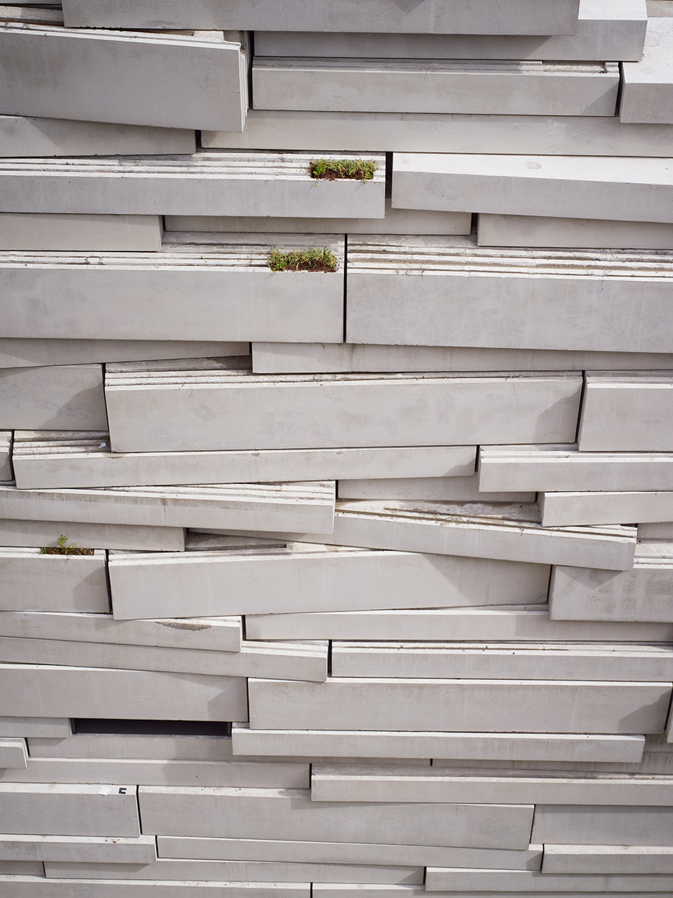 Primary School For Sciences And Biodiversity / Chartier Dalix9ͼƬ