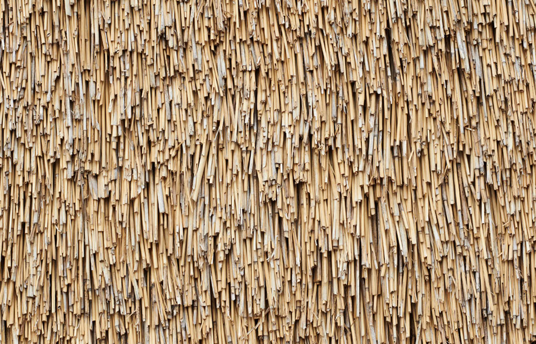 Tåkern visitor centre / wingardhs7ͼƬ