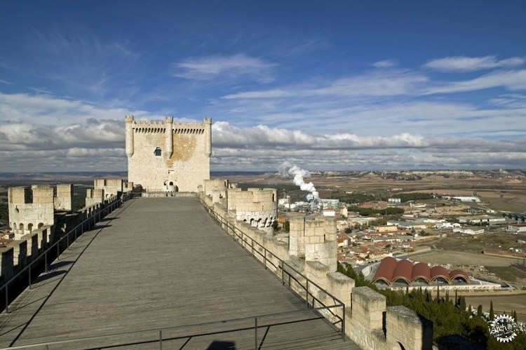Bodegas Protosׯ(Bodegas Protos)2ͼƬ