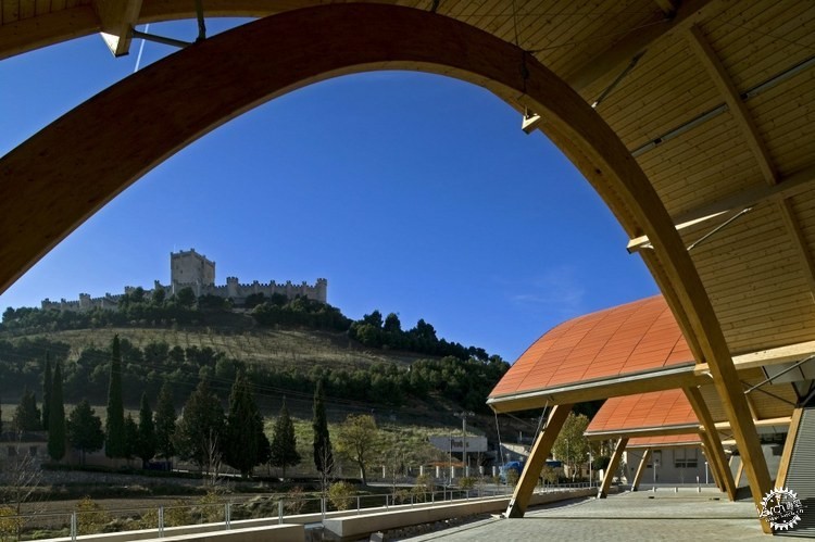 Bodegas Protosׯ(Bodegas Protos)8ͼƬ