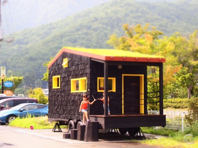 еͤ GREEN ROOF TINY SHOP21ͼƬ