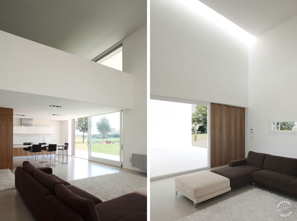 MorellaϪסլ/ Andrea Oliva8ͼƬ