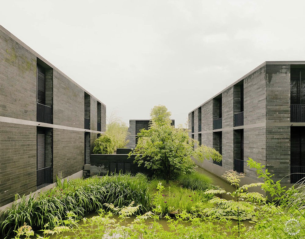 Ϫʪطز/ David Chipperfield Architects5ͼƬ