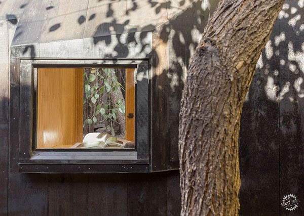 ³΢ҹ/Architensions8ͼƬ