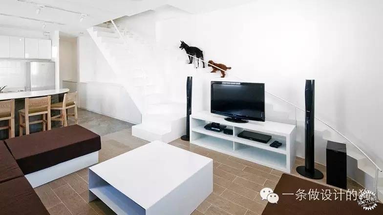  Architecture & Dogs19ͼƬ