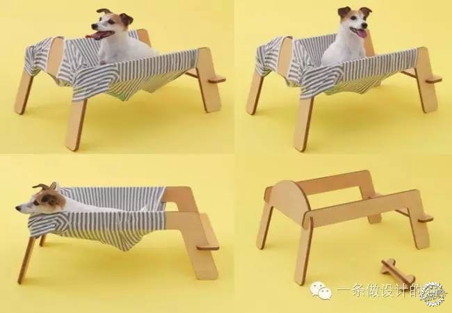  Architecture & Dogs29ͼƬ
