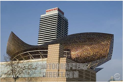 .е (Frank OGehry's Fish)4ͼƬ