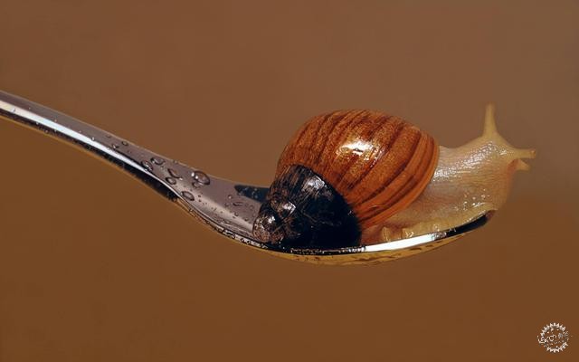 ԽӰĳʵ綯滭Nothing.Life.Object6ͼƬ
