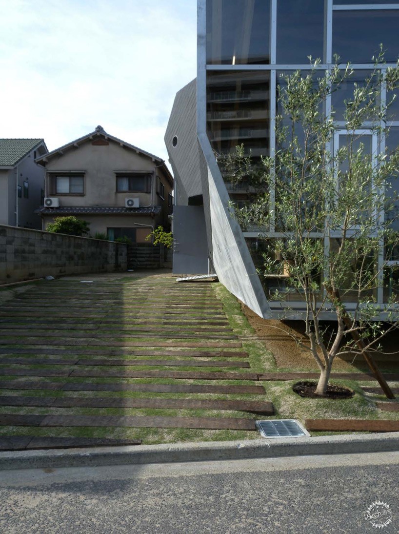 house of cedar by suga atelier4ͼƬ