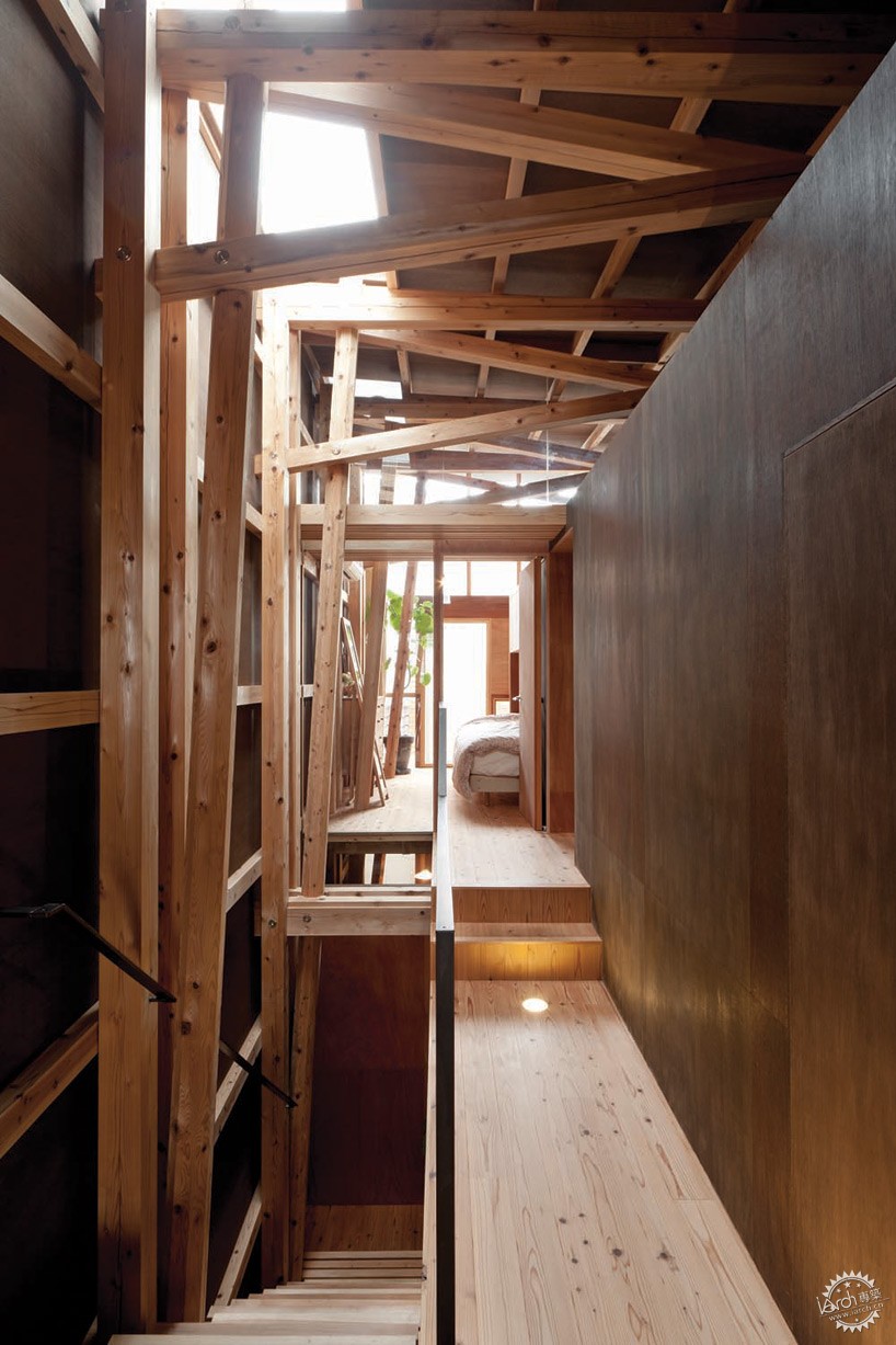 house of cedar by suga atelier10ͼƬ