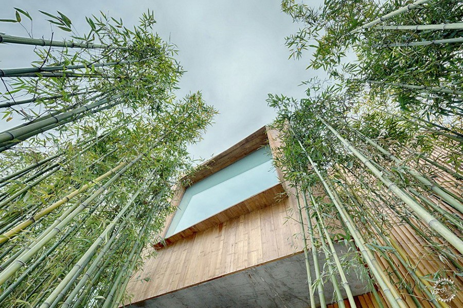 һƬ֣һȪWHY Hotel by WEI Architects7ͼƬ