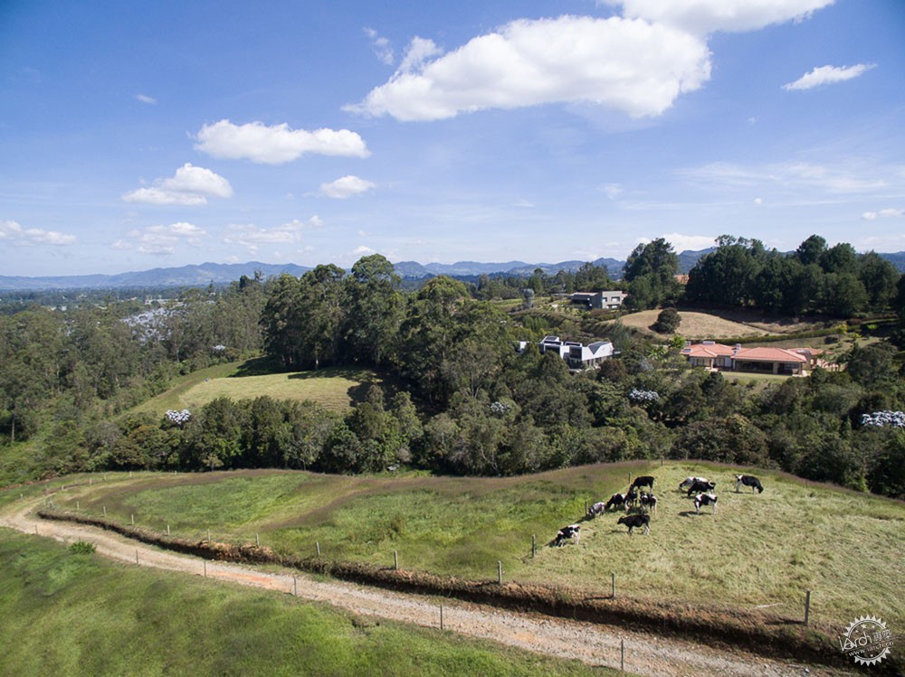 Llano Grandeסլ/ Plan B Arquitectos14ͼƬ