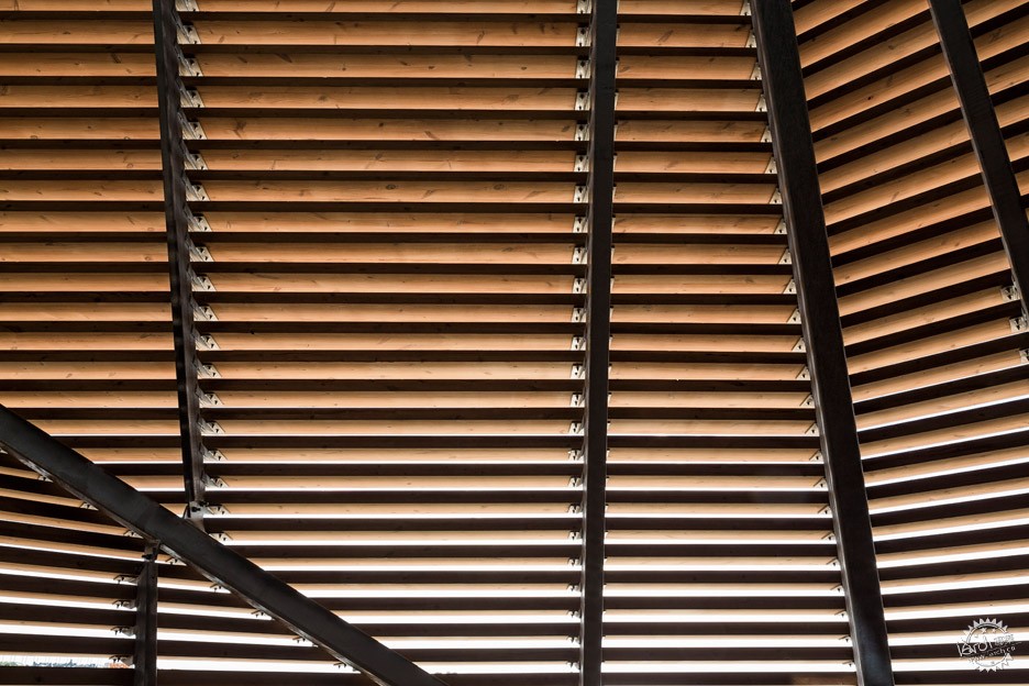 նغɣԡ/Avanto Architects19ͼƬ