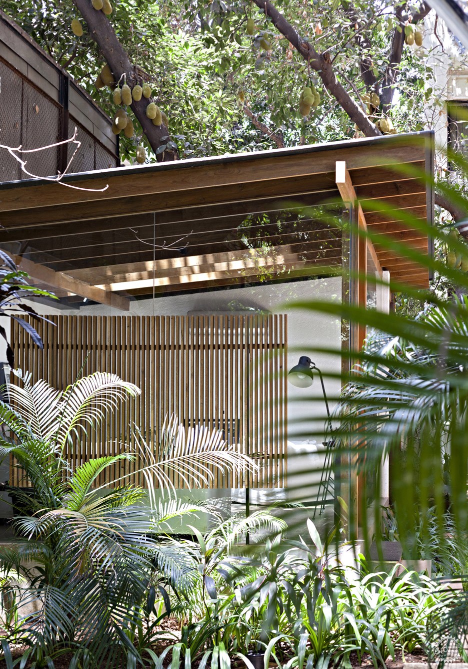 ˮ÷Ӱһ԰С/ Abraham John Architects19ͼƬ