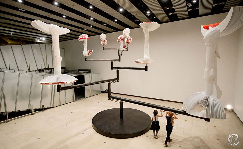 Carsten Holler׶Haywardչݴֵ2ͼƬ
