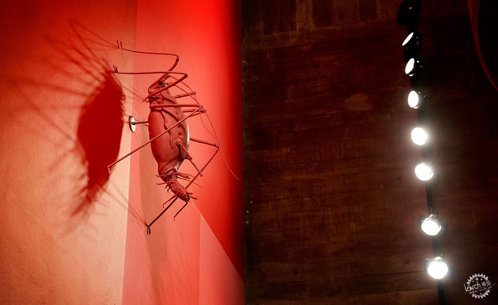 Carsten Holler׶Haywardչݴֵ6ͼƬ
