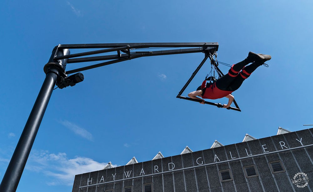 Carsten Holler׶Haywardչݴֵ12ͼƬ