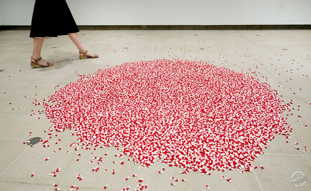 Carsten Holler׶Haywardչݴֵ15ͼƬ