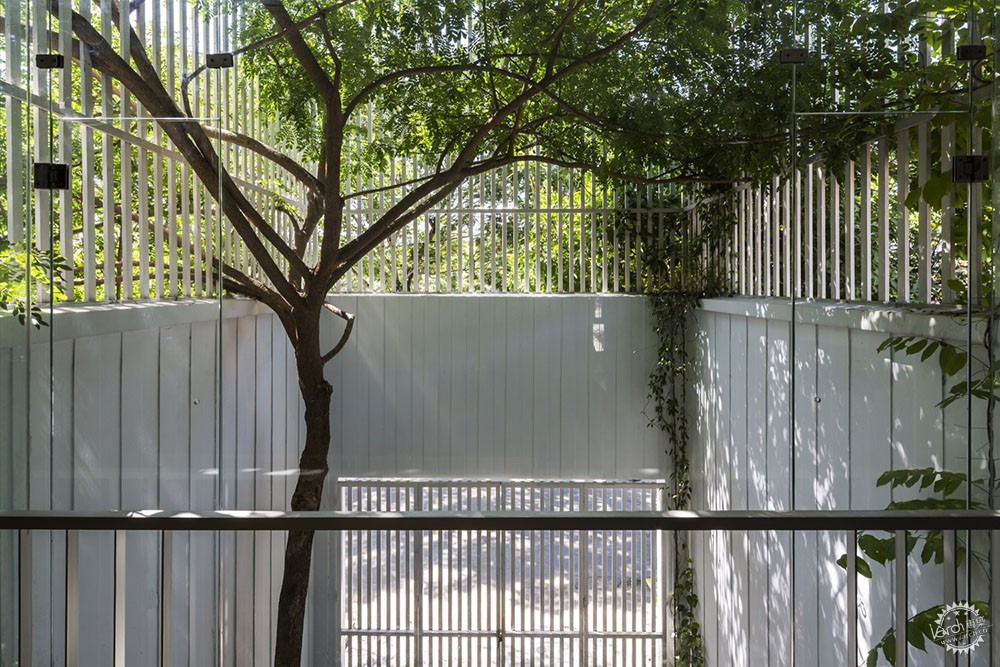 Խϰ칫/ Cong Sinh Architects10ͼƬ