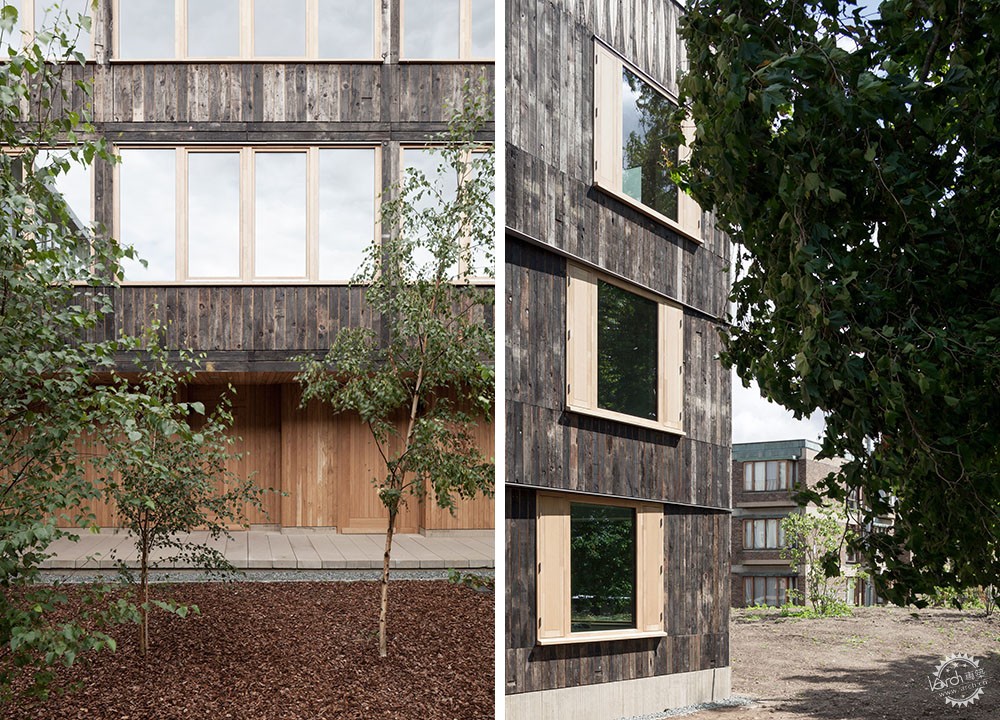 ŴѧУ԰ľ/6a Architects6ͼƬ