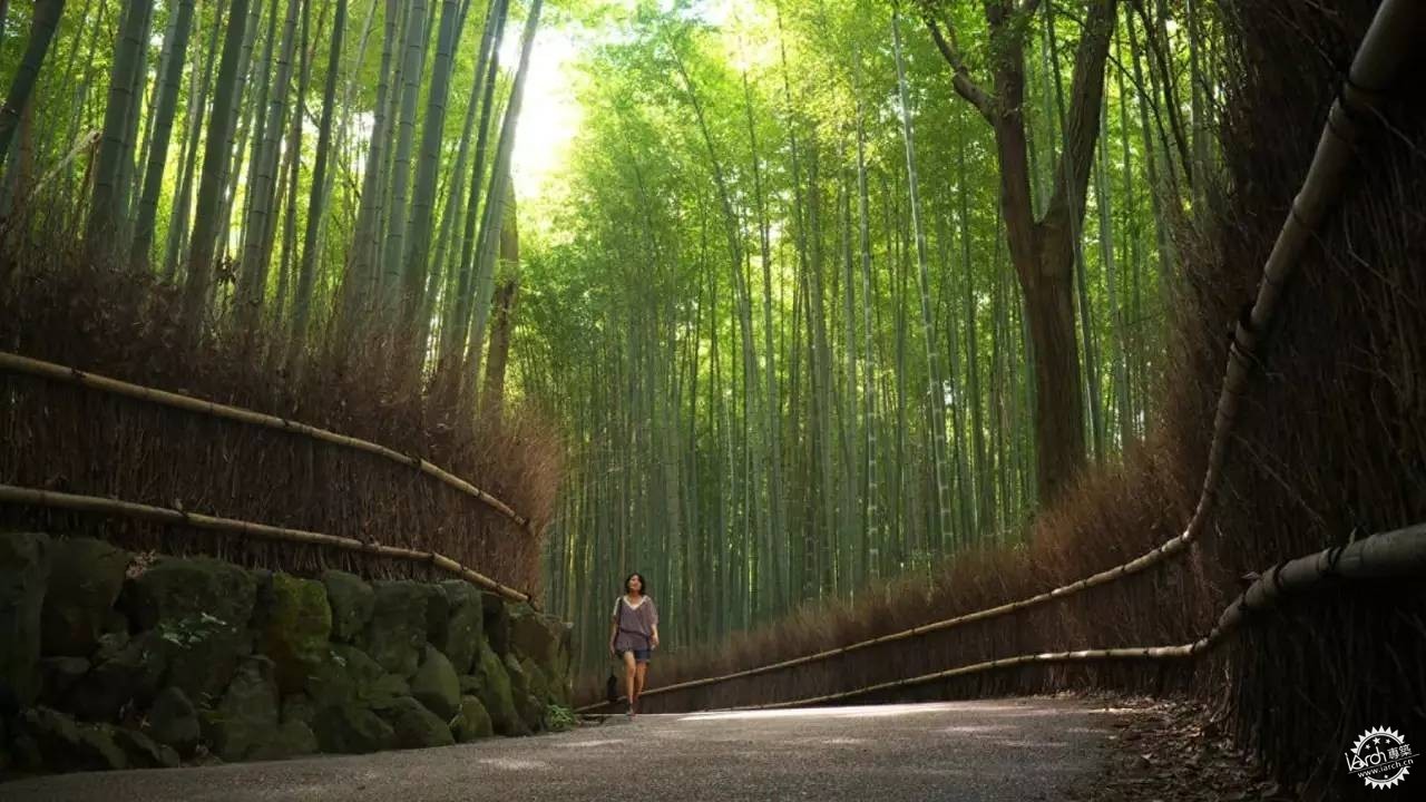 ձļƵ꣬չ800ʷ绪1ͼƬ