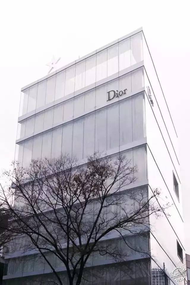 ҪDiorChanelLVʲôĶ˵11ͼƬ
