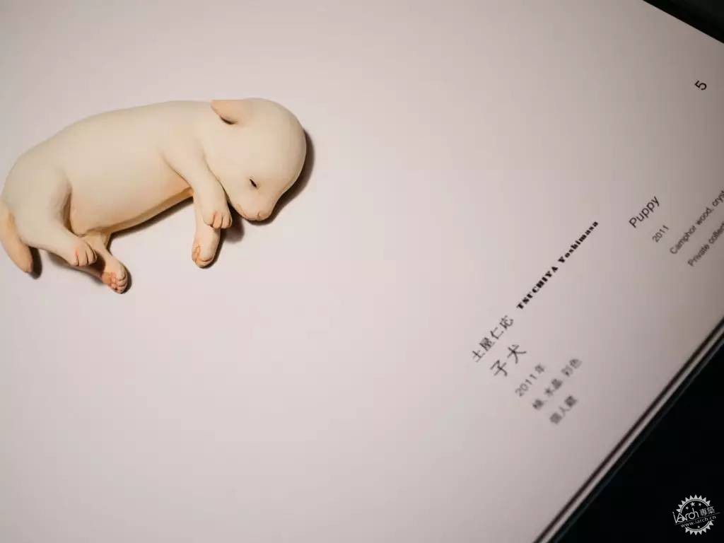 ʱ39ʏ꽫ĥɷӣľڹĴࡣ17ͼƬ