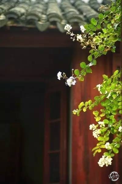 ϸʱ ȴǲйԺӡ21ͼƬ