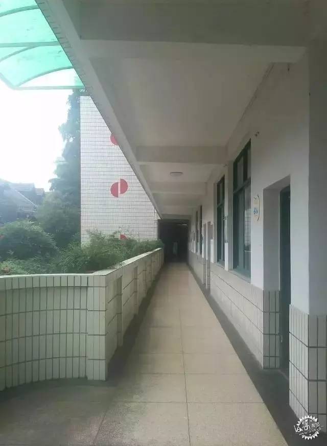 ϵĲСѧߵСѧλõըֱɫǱ8ͼƬ