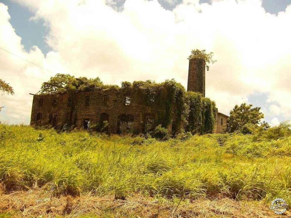 ķ1ͼƬ