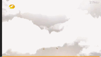 ۻع20꣬ЩۡĿֵ٣5ͼƬ