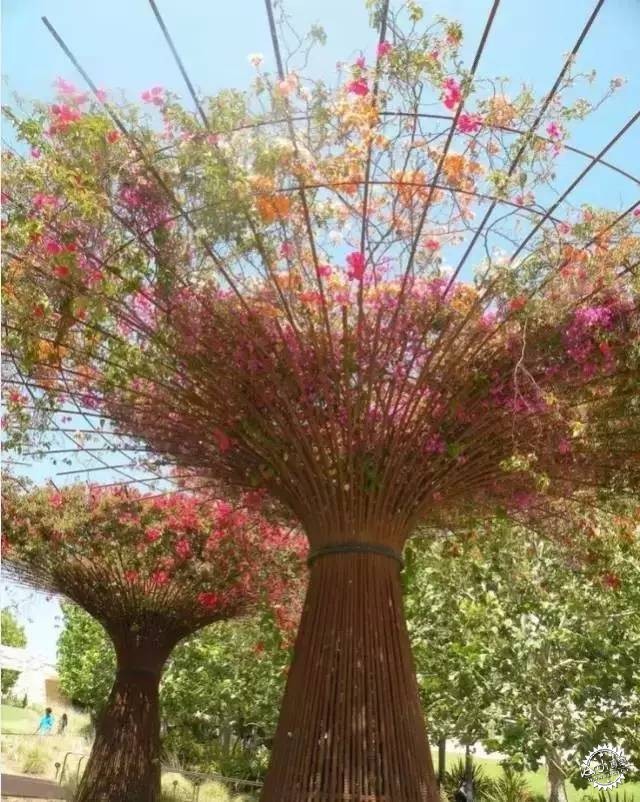 ˮǽʲôֽ۲Ŵ2ͼƬ