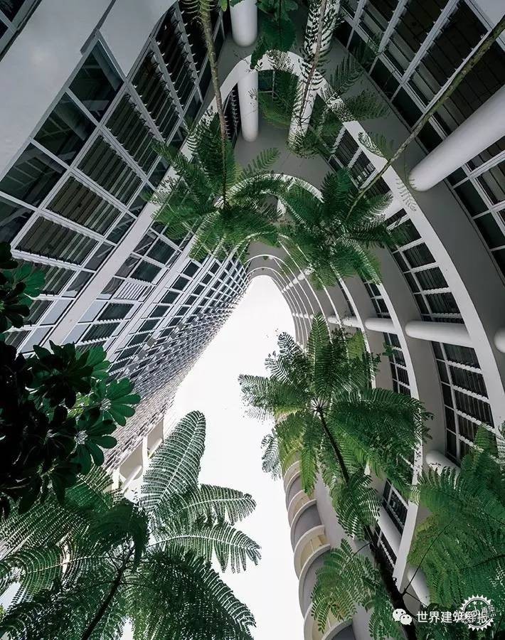 HOK | ¼»͢ۺҽԺ1ͼƬ