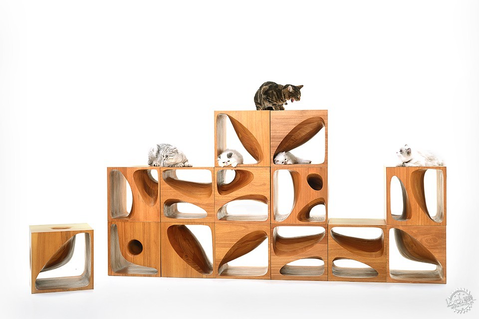 ݣҼн/LYCS Architecture C ʦ / ʦ / ...8ͼƬ