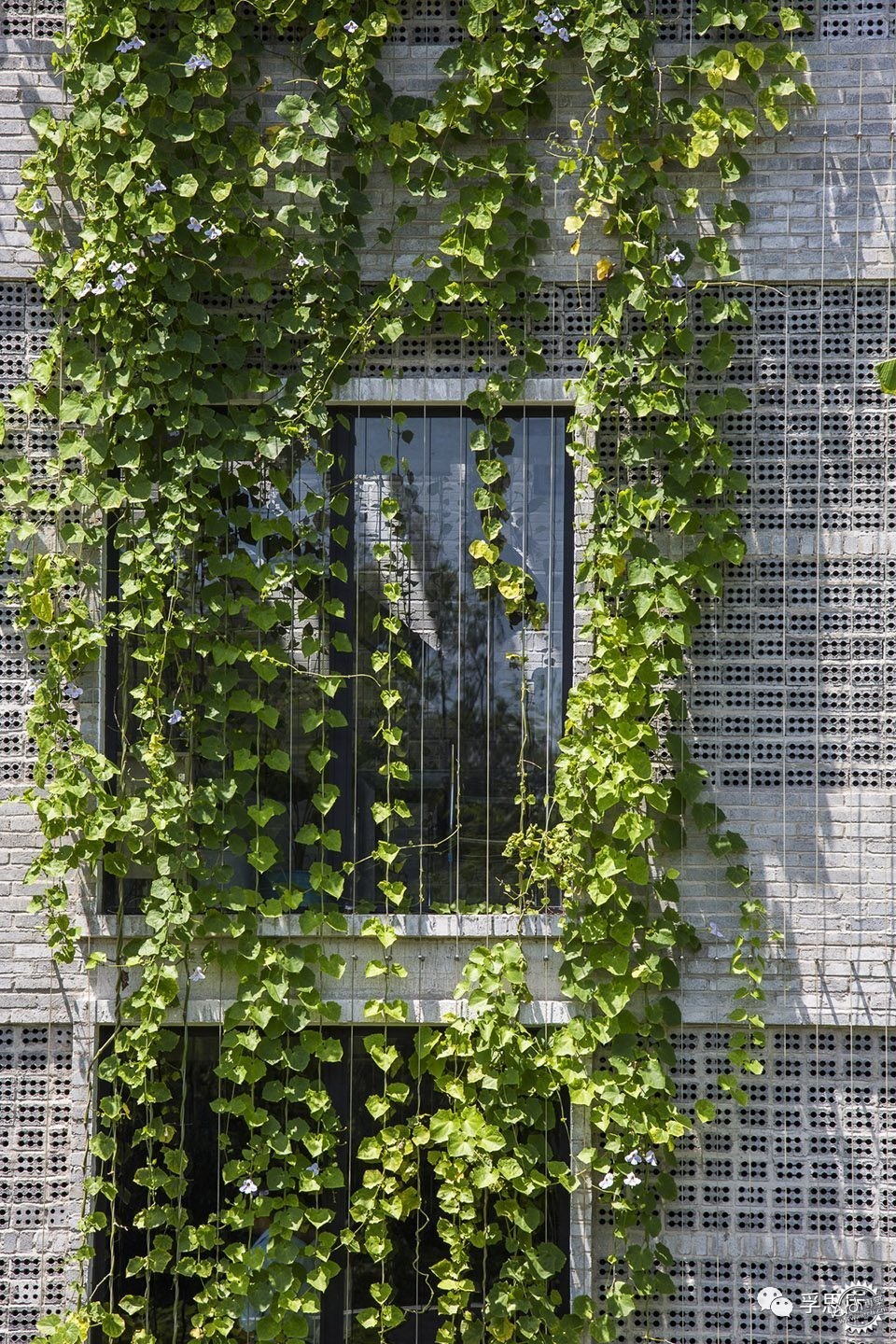 칫ңԽ / Ho Khue Architects7ͼƬ