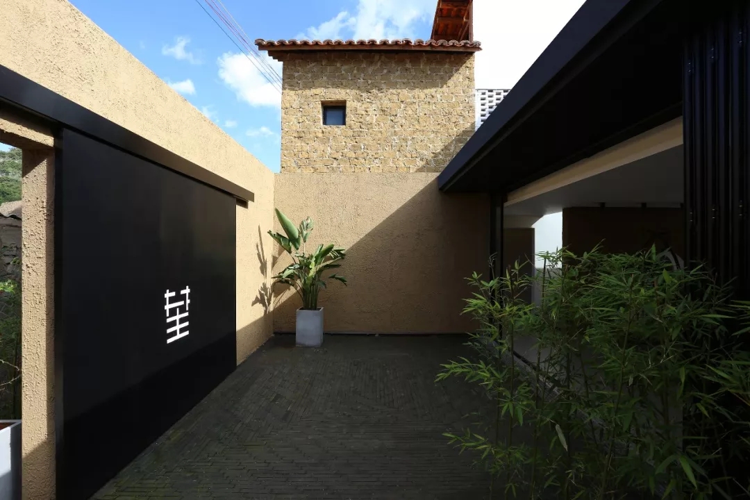 2019116ͼƬ