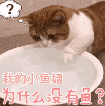 罻ٷ٣ҲͼΧ۱̸2ͼƬ